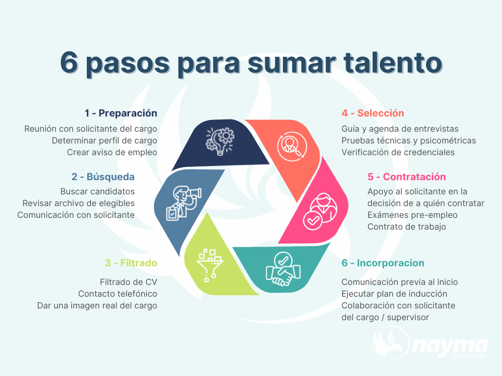 6 pasos para encontrar talento